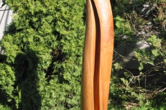 Idol (cseresznyefa), 2007