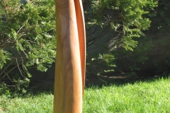 Idol (cseresznyefa), 2007